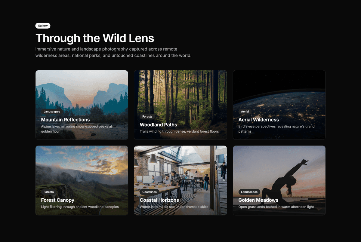 Preview of Gallery #3